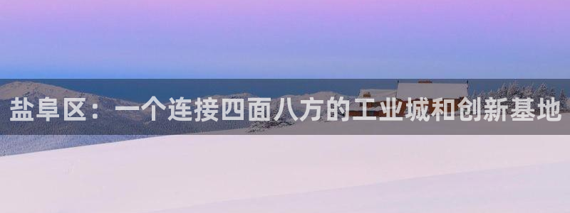 vip新宝gg