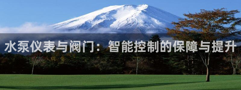 行新宝gg