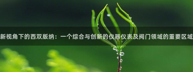 新宝gg软件