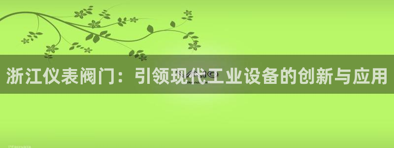 新宝哥gg
