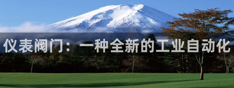新宝gg手机助手