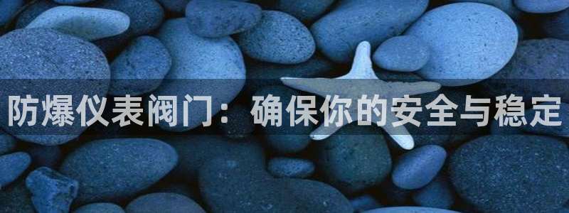 新宝 gg .com