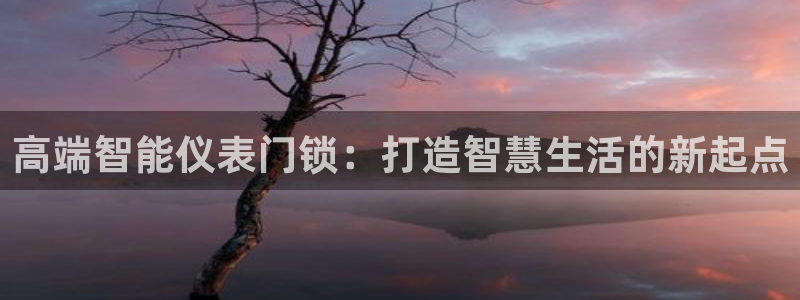 新宝gg如何