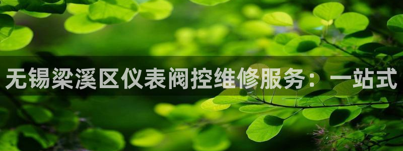 新宝gg刷流水