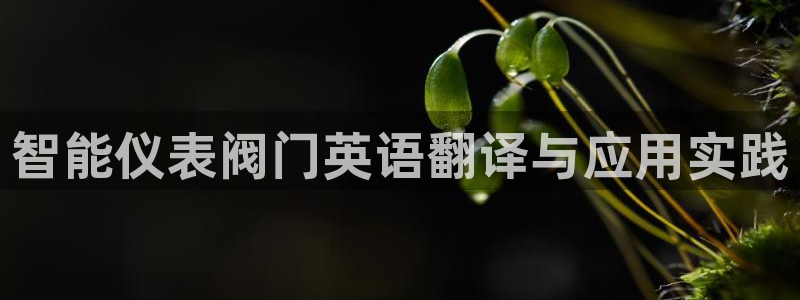 新宝gg 创造奇迹