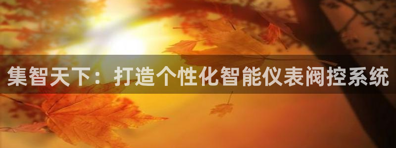 收新宝gg