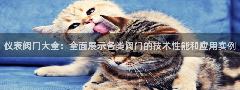 新宝gg 黑