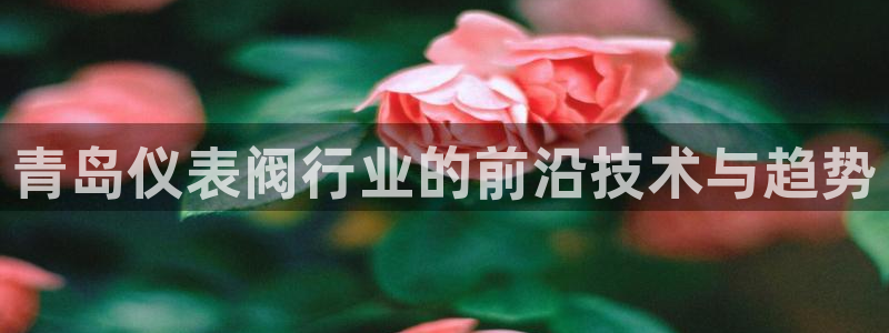 新宝gg登录注册