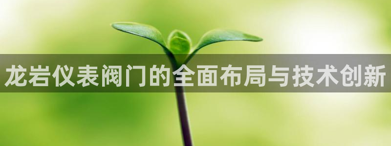 新宝gg娱乐官网