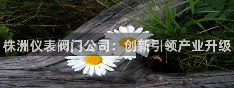 新宝gg联系