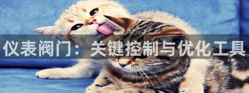 新宝_gg
