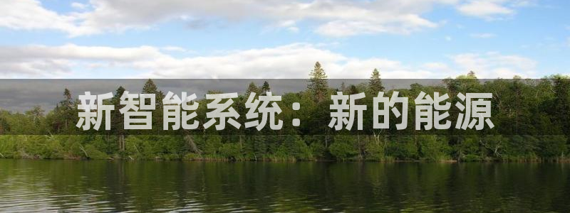 新宝gg什么