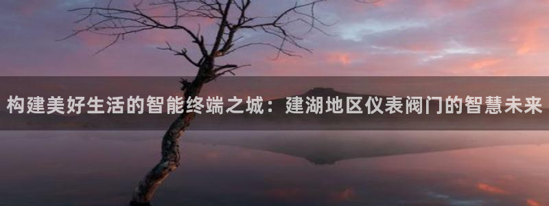 新宝gg 登录页面