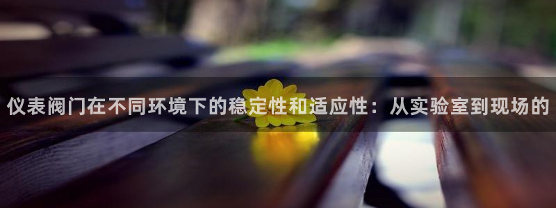 新宝gg打发