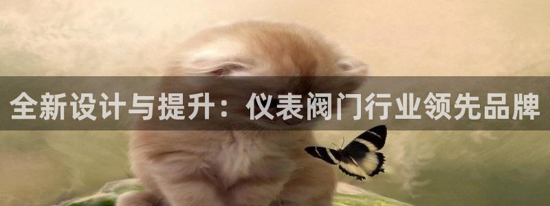 菲律宾新宝gg娱乐