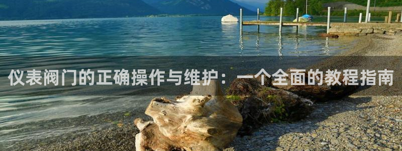 新宝gg测速登录