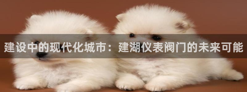 新宝gg娱乐怎么样