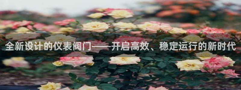 新宝gg平台注册