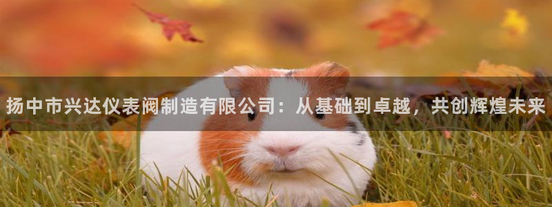 新宝gg平台登录 新宝GG