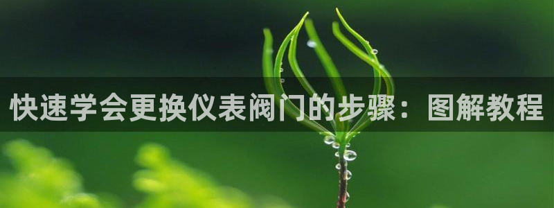 新宝gg创造奇迹下载