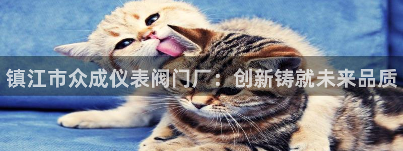 新宝GG53339咨询新宝GG