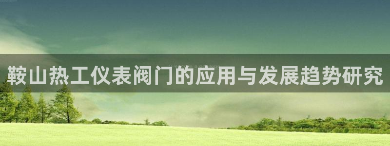 广东新宝电器gg