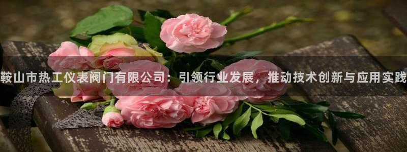 新宝GG创业奇迹