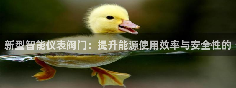 新宝gg是新宝几