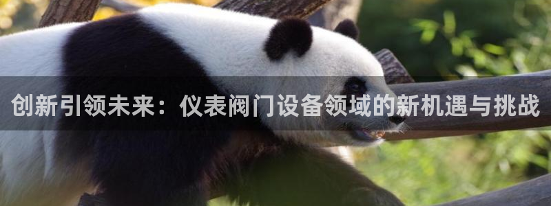 新宝GG都有哪些计划