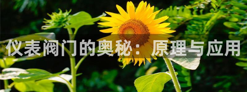 新宝GG官方域名