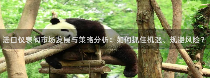 新宝gg手机登录官网