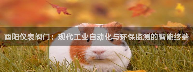 新宝gg注册登录网址