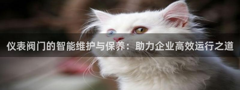 新宝gg娱乐怎么样