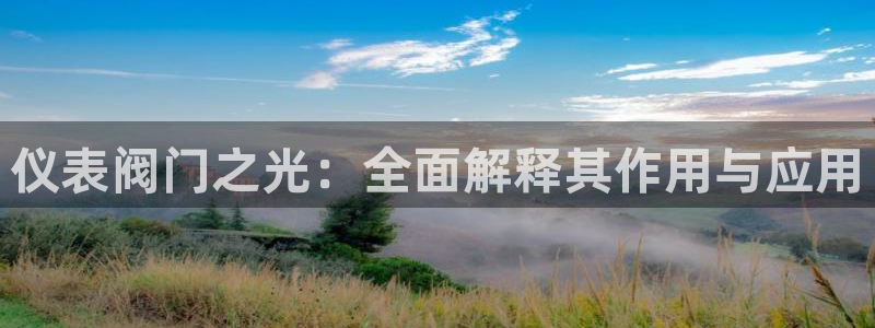 新宝gg如何登录
