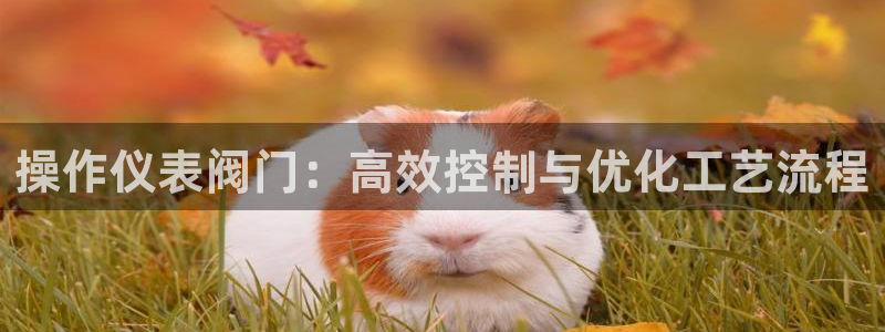 新宝gg 注册