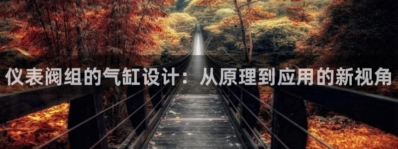 收新宝gg