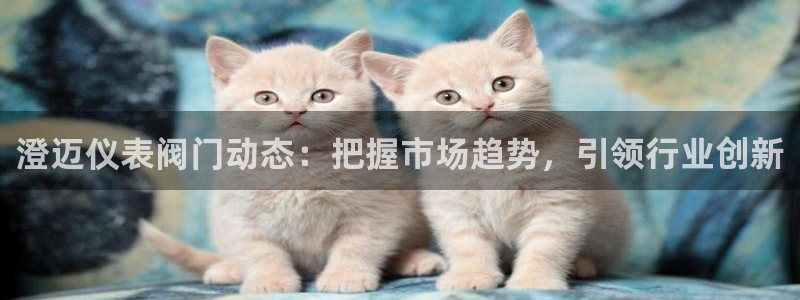 新宝gg娱乐客户端下载