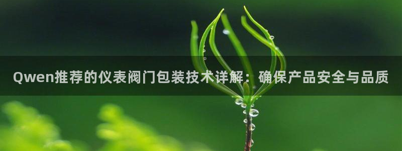 分分新宝gg