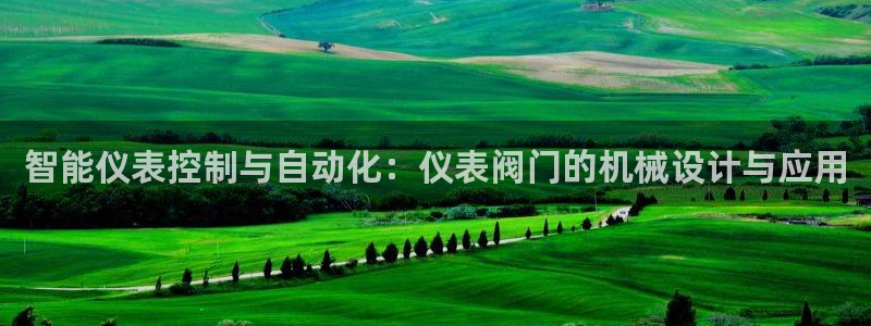 新宝gg主管