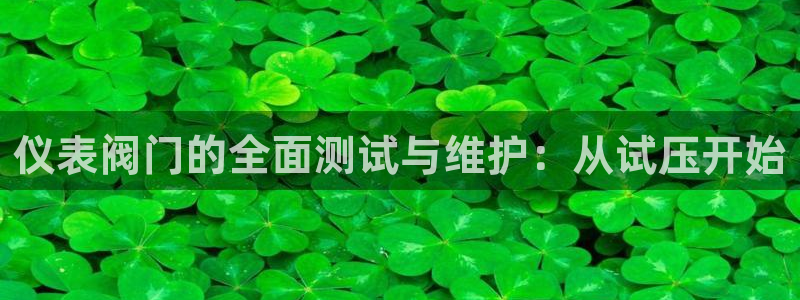 新宝_gg
