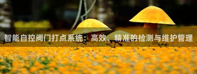 新宝gg娱乐注册全芏网