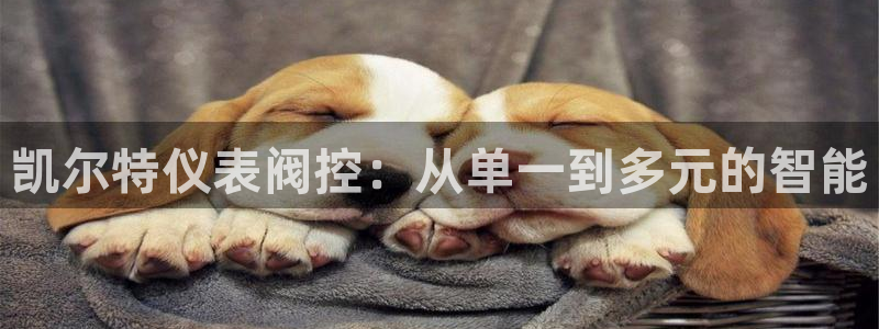 新宝GG专业团队