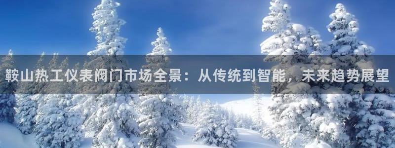 新宝gg传奇
