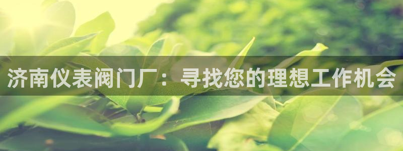 新宝gg为什么没人管