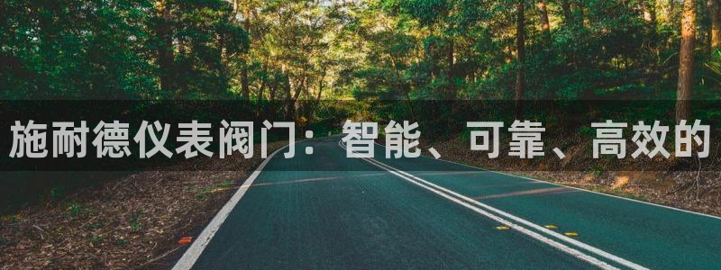 行新宝gg