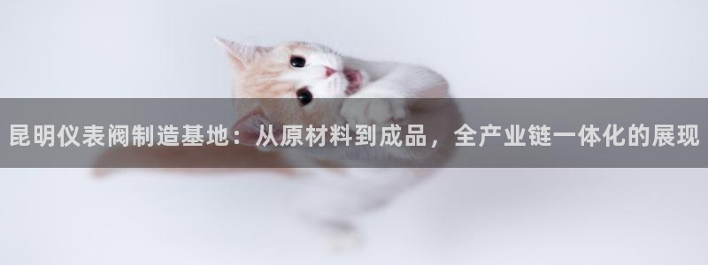 新宝gg玩法