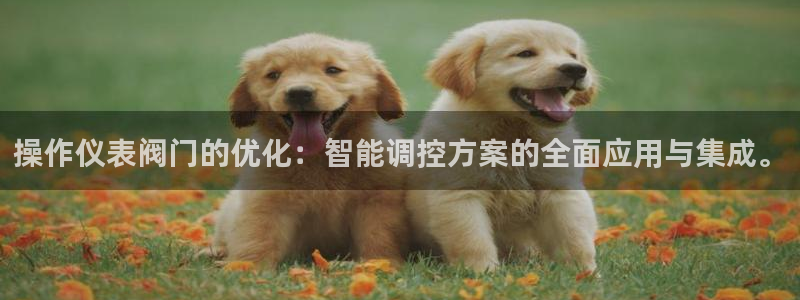 新宝gg有假吗